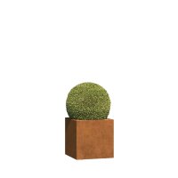 Pflanzkübel aus Cortenstahl Lec mit Rollen verschiedene Größen